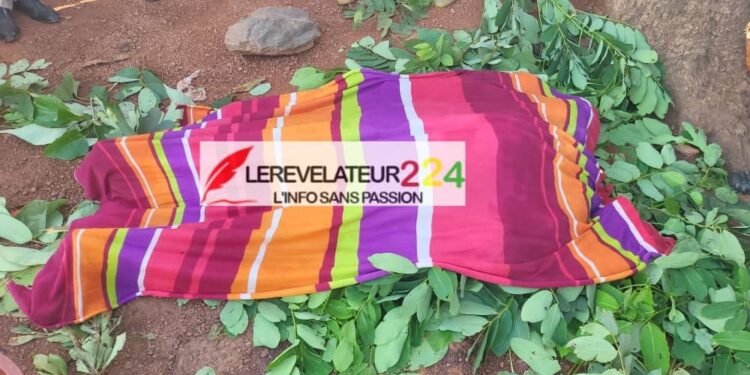 KINDIA: le Cimetière de Comoyah enfin clôturé par l&rsquo;un des fils de la localité