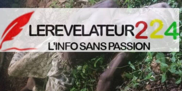 SIGUIRI: Découverte du corps sans vie d’un octogénaire à Bouré Silabada…