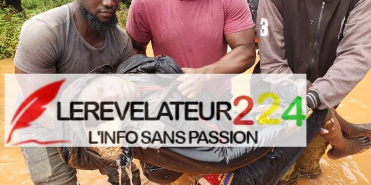 KANKAN: les personnes vivant avec un handicap expriment leur adhésion au projet de nouvelle Constitution