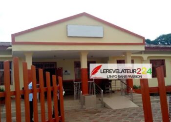 La mobilisation des recettes dans le secteur extractif en Guinée (Par Dr. Mamadou Aliou Bah)