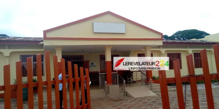 La mobilisation des recettes dans le secteur extractif en Guinée (Par Dr. Mamadou Aliou Bah)