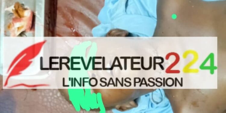 Makanera : mauvais chroniqueur de l’Histoire, piètre politique (Par Souleymane Souza Konaté)
