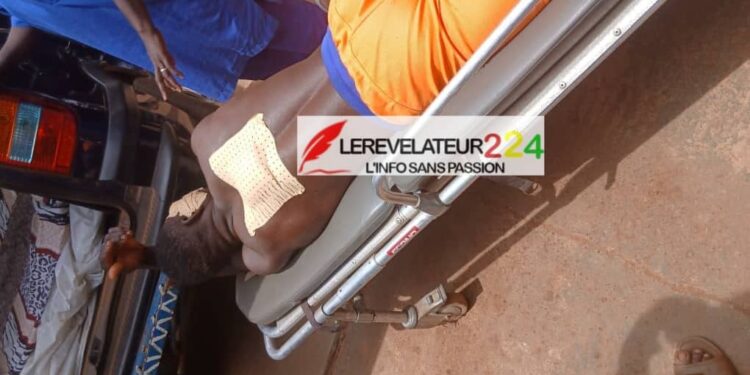 Cellou Dalein Diallo: ‘’l’UFDG n’a pas une autre ambition que d’unifier et de servir la Guinée’’