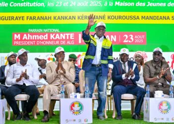 Les obstacles de réorganisation des Administrations fiscales (Par Dr. Mamadou Aliou Bah)