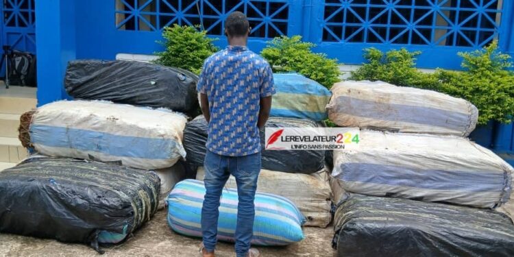N’Zérékoré : Ahmed Kanté et Sinohydro mobilisent pour la vulgarisation de la nouvelle Constitution