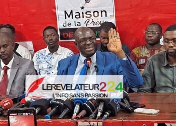 Ousmane Gaoual Diallo: ‘’la crise de liquidité à laquelle nous faisons face aujourd’hui, n’est pas une crise économique’’