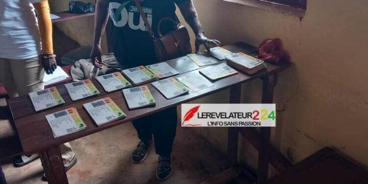 Distribution des cartes d’électeur à Labé : Des irrégularités constatées sur certaines cartes à Garambe