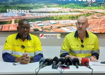 Simandou: Rio Tinto-SimFer fait le point sur l&rsquo;état d&rsquo;avancement du projet