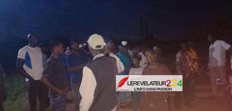 Une 7ème Constitution pour la Guinée : espoir de rupture ou simple illusion ?