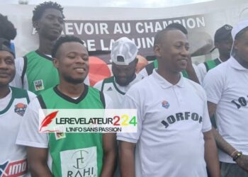 La constitutionalité de l’impôt dans le projet de nouvelle constitution (Par Dr. Mamadou Aliou Bah)