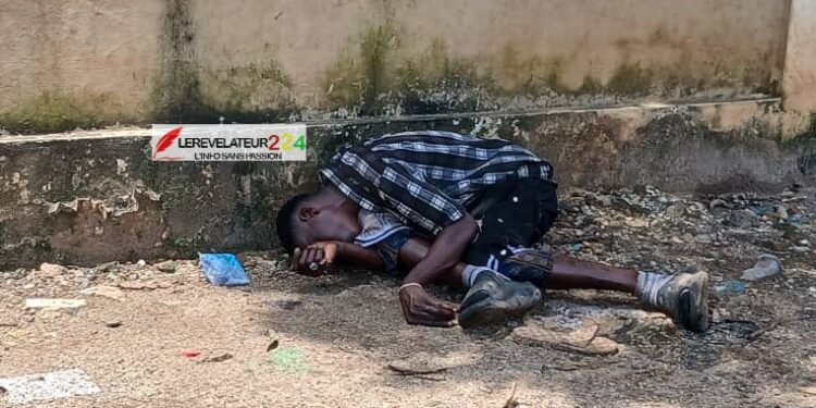 Conakry : la drogue Kush continue de faire des victimes…