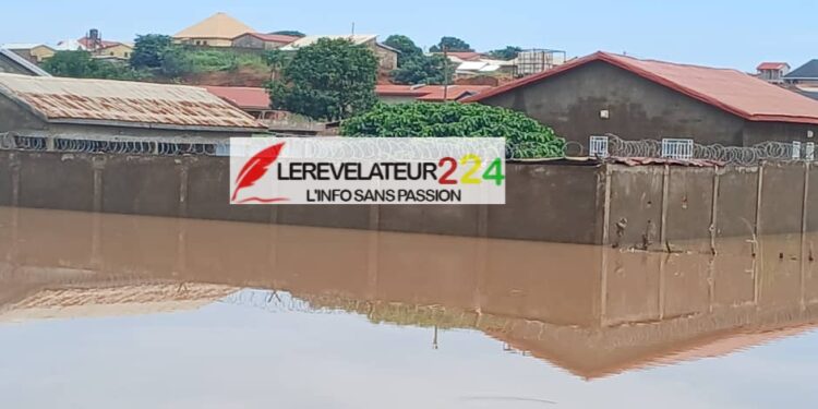 Pluies diluviennes à Kankan: panique et dégâts massifs chez les sinistrés au quartier Madina