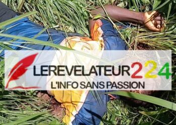 Observation du scrutin référendaire: l&rsquo;ONASUR dresse le bilan de ses activités…