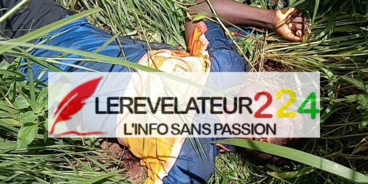 Observation du scrutin référendaire: l&rsquo;ONASUR dresse le bilan de ses activités…