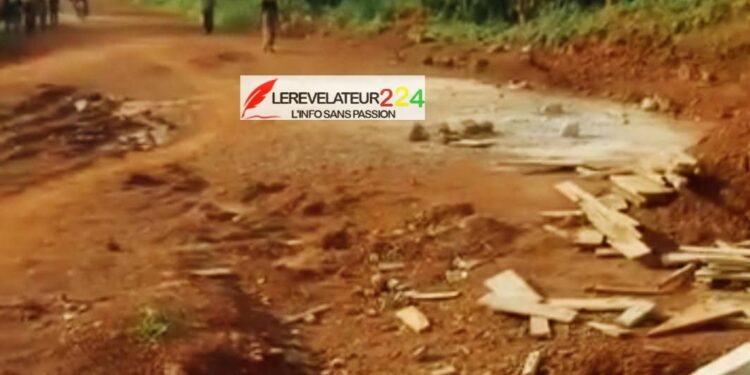 Route Sangarédi – Télimélé : « l&rsquo;injustice d&rsquo;un projet avorté »