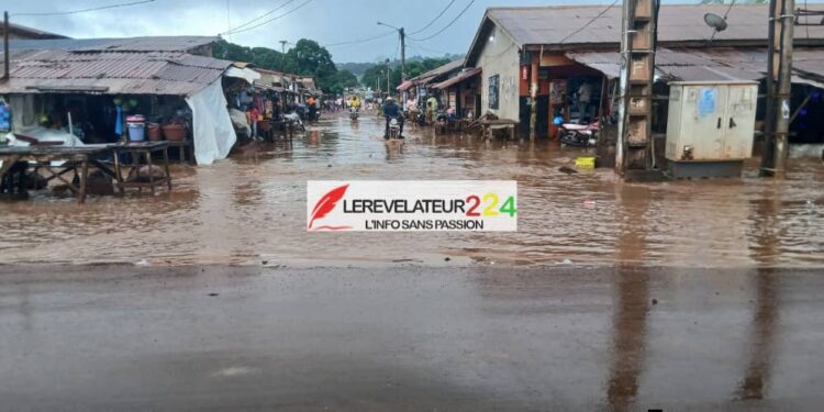 Guinée : vers la 1ère édition de « La Caravane du Corridor Simandou », le train de la prospérité…