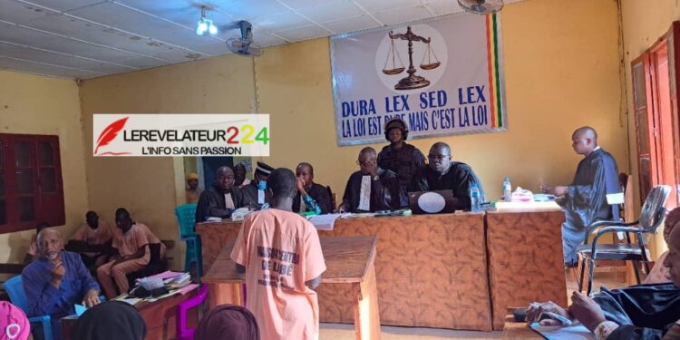 TPI de Labé : Siradio (nova Baldé) et sa complice condamnés pour viol sur mineure et complicité