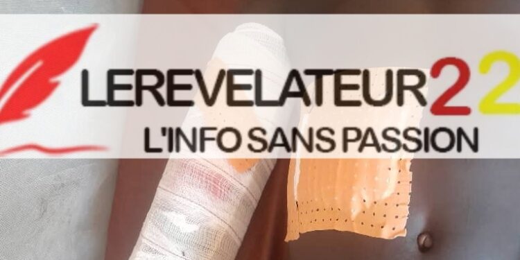 Présidentielle du 28 décembre : le CNOSCG collabore avec la Fédération Nationale des Comédiens de Guinée pour asseoir la quiétude sociale