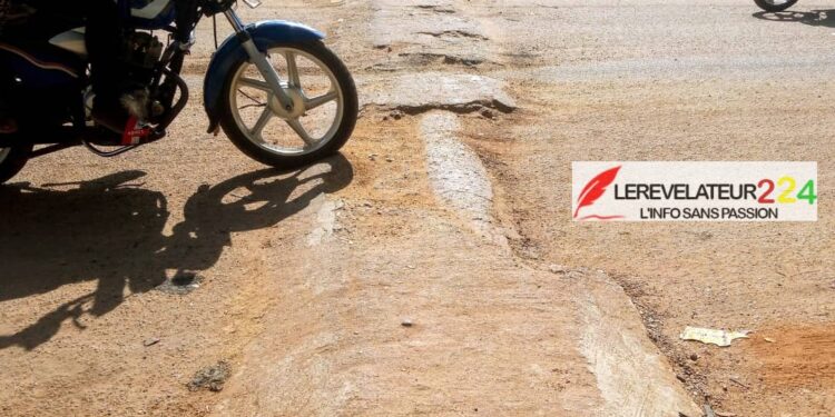 Les attrayantes passerelles de l’AGEROUTE et les mesures supplémentaires pour leur meilleur rendement (Par Balla Moussa Konaté)