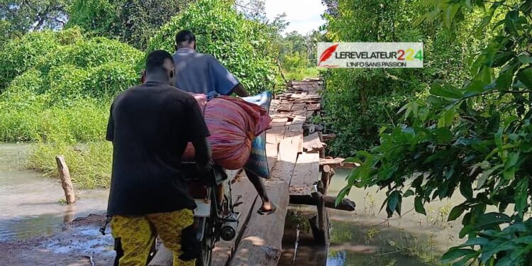 Présidentielle du 28 décembre : l’AFP désigne le Général Mamadi Doumbouya comme son candidat