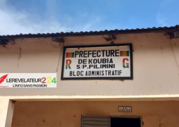 KOUBIA – Pilimini: Un jeune accusé d’avoir tué sa propre mère : « il a éventré sa mère, les intestins sont sortis »