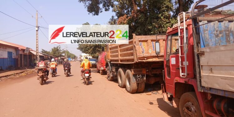 Faut-il répondre au coup de pied d’un âne par un coup de pied ? (Par Souleymane Souza Konaté)