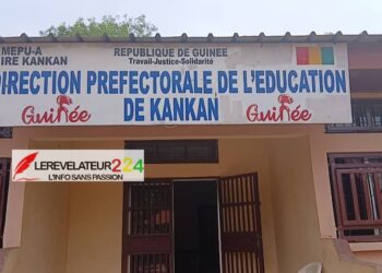 Ousmane Gaoual : les fausses vérités d’un ministre et les vrais mensonges d’une propagande d’État