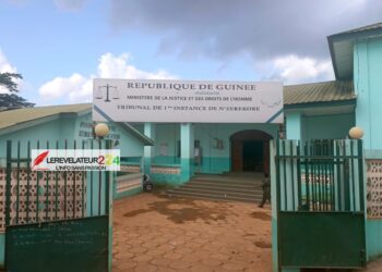 TPI de N&rsquo;Zérékoré : plus de 2 400 dossiers enregistrés durant le séjour du procureur sortant