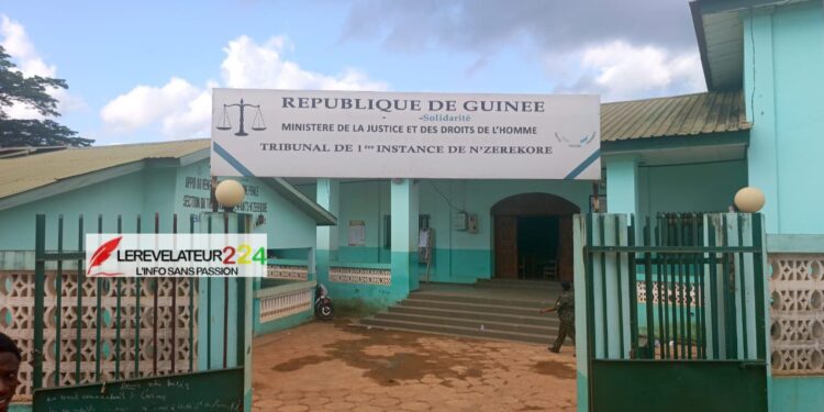 TPI de N’Zérékoré : plus de 2 400 dossiers enregistrés durant le séjour du procureur sortant