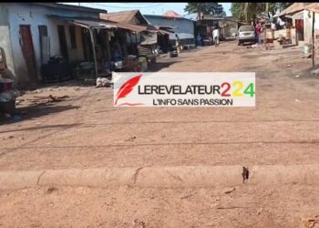 En Guinée, l&rsquo;adresse du président à la Nation en fin d&rsquo;année n’est pas constitutionnellement obligatoire (Par Mohamed lamine KANTE)