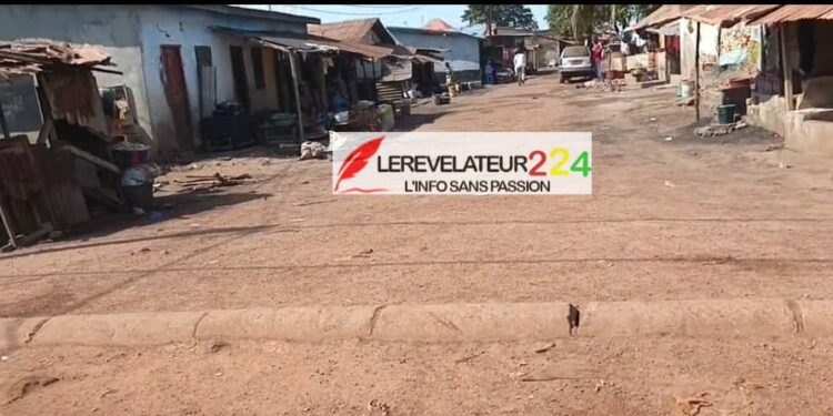 En Guinée, l&rsquo;adresse du président à la Nation en fin d&rsquo;année n’est pas constitutionnellement obligatoire (Par Mohamed lamine KANTE)