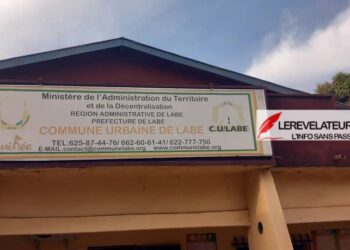 Ousmane Gaoual Diallo: ‘’il n&rsquo;y a pas d&rsquo;exilés politiques en Guinée’’