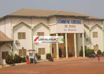 Main tendue de Doumbouya : Cellou Dalein Diallo exprime son scepticisme…
