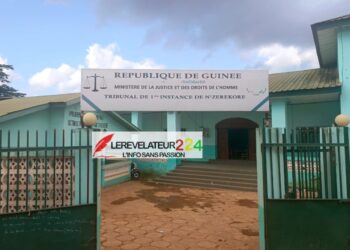 Immigration : Suspension massive par le département d’Etat Américain, des visas pour 75 pays, dont la Guinée