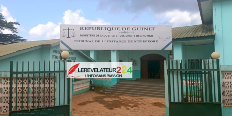 Immigration : Suspension massive par le département d’Etat Américain, des visas pour 75 pays, dont la Guinée