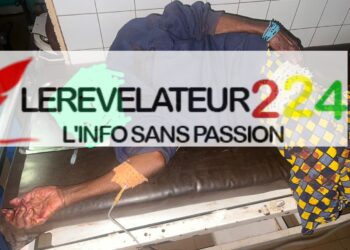 Lutte contre la destruction de l’environnement à Siguiri : les sages se rangent du côté des jeunes