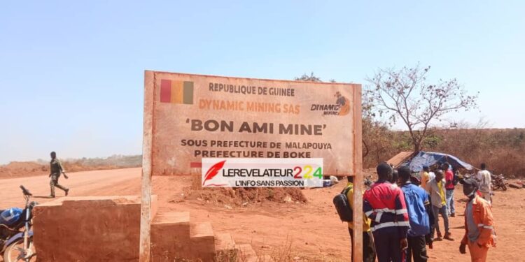 Dre Diaka Sidibé défense son bilan: ‘’Dans un souci de protection des consommateurs, 1 724 unités de production d&rsquo;eau non conformes ont été fermées’’