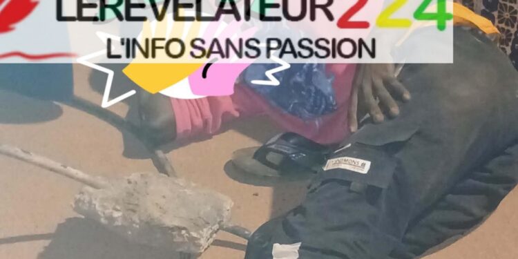SANGAREDI : Un présumé voleur de câbles électriques arrêté à Silidara