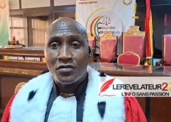 La problématique de l&rsquo;Investissements publics en Guinée : expansion et impact (Par Dr. Mamadou Aliou Bah)