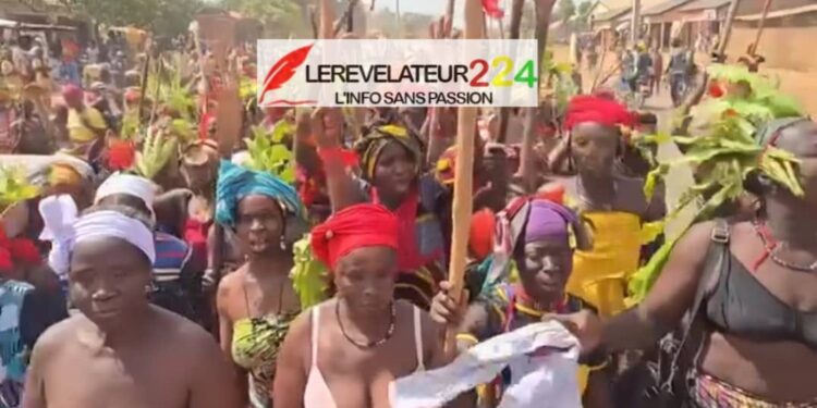 KANKAN : Torse nu, des femmes de Töron-Banankö prennent d’assaut la préfecture et manifestent contre les zébus et la transhumance