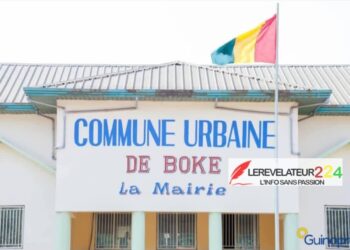 Usurpation d’identité au sommet de l’État : un faux Amara Camara piège des Guinéens