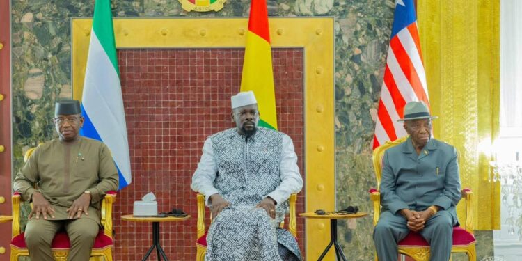 Différend frontalier entre la Guinée, le Libéria et la Sierra Leone : Voici ce qu&rsquo;on peut retenir du sommet de Conakry
