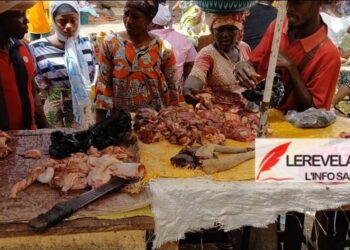 SIGUIRI : Mamadi Sylla triomphalement accueilli en héros, après sa condamnation à Kankan