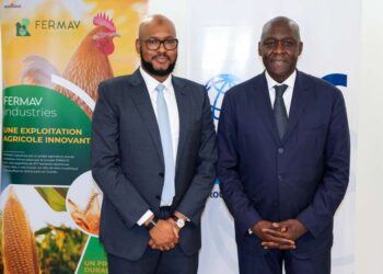 Guinée : IFC et le Groupe SONOCO concluent un accord de 20 millions de dollars pour structurer la première filière avicole intégrée du pays