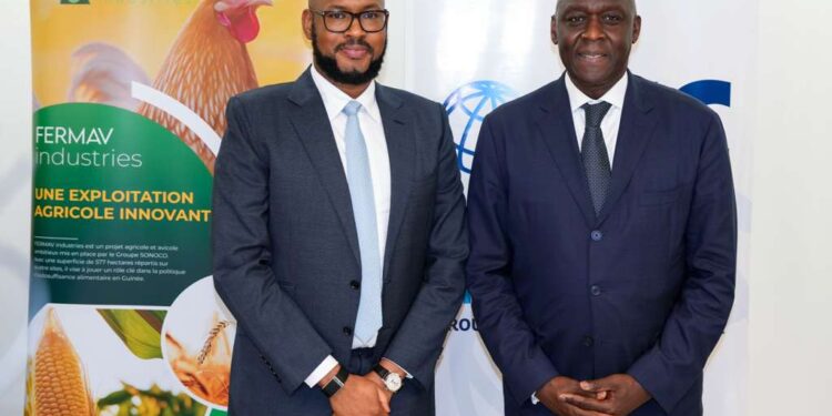 Guinée : IFC et le Groupe SONOCO concluent un accord de 20 millions de dollars pour structurer la première filière avicole intégrée du pays