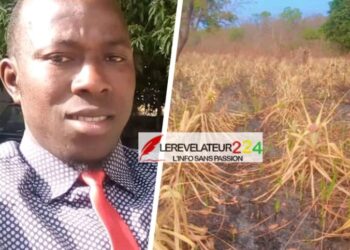 Ousmane Doumbouya et Sentinelleafrique : un site fantôme au service de la manipulation de l’opinion