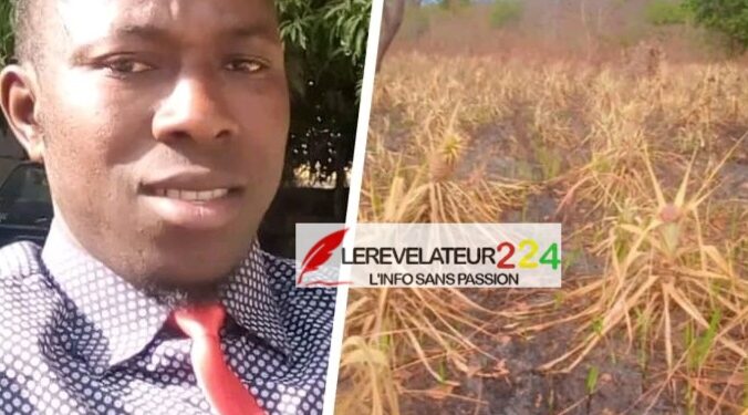 Ousmane Doumbouya et Sentinelleafrique : un site fantôme au service de la manipulation de l’opinion