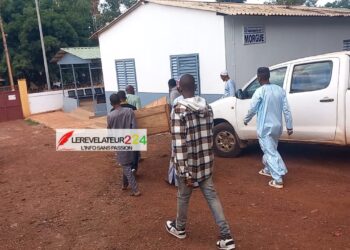 Croissance économique, démographie, budget et services publics : le vrai stress-test de la Guinée ? (Par Malado Kaba)