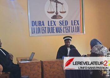 TPI de Labé: deux filles condamnées pour bastonnade d&rsquo;une collégienne