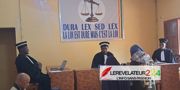 TPI de Labé: deux filles condamnées pour bastonnade d&rsquo;une collégienne